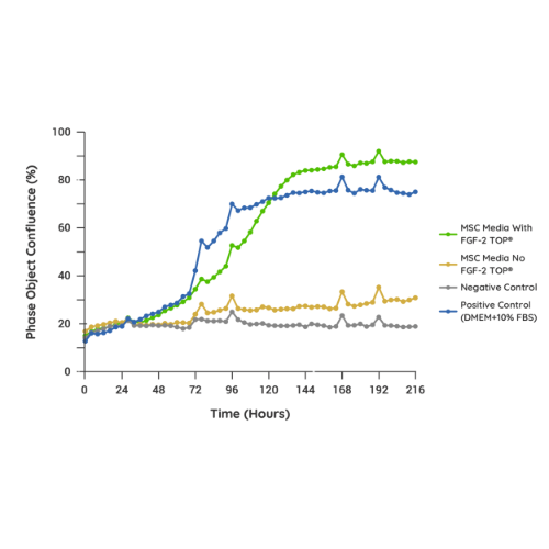 FGF2-TOP MSC research 