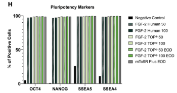 FGF2-TOP pluripotency research